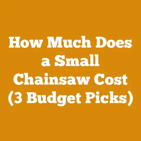 How Much Does a Small Chainsaw Cost (3 Budget Picks)