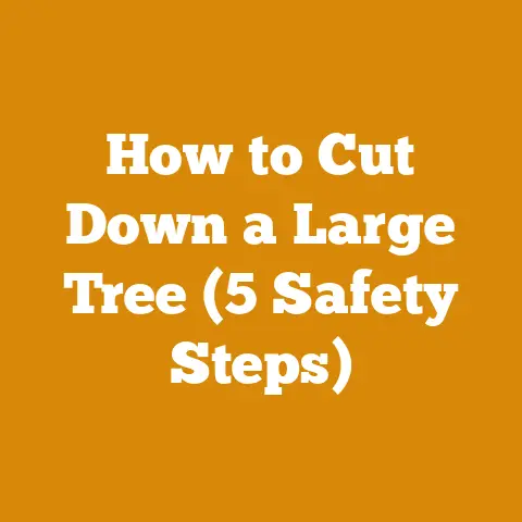 How to Cut Down a Large Tree (5 Safety Steps)