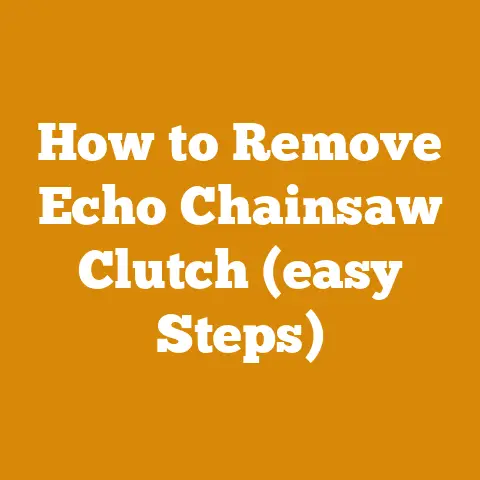 How to Remove Echo Chainsaw Clutch (easy Steps)