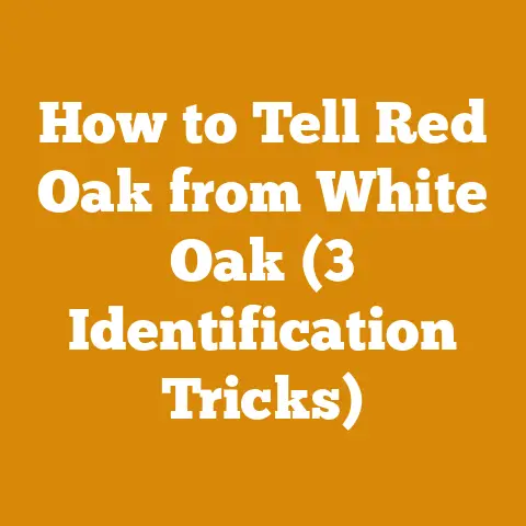 How to Tell Red Oak from White Oak (3 Identification Tricks)