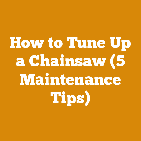 How to Tune Up a Chainsaw (5 Maintenance Tips)
