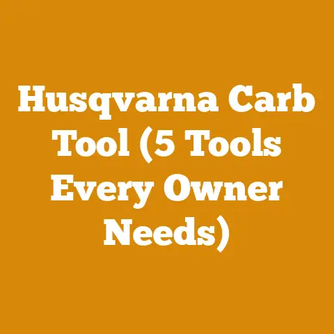 Husqvarna Carb Tool (5 Tools Every Owner Needs)