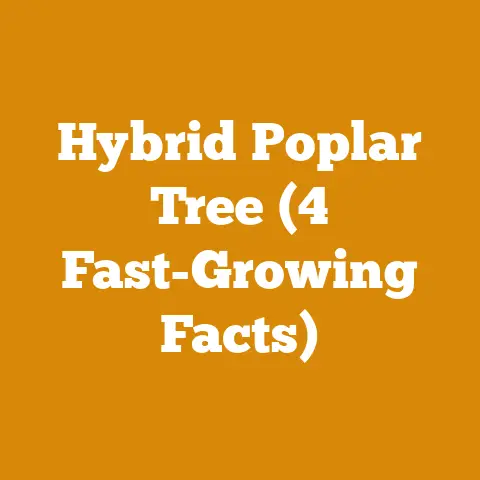 Hybrid Poplar Tree (4 Fast-Growing Facts)