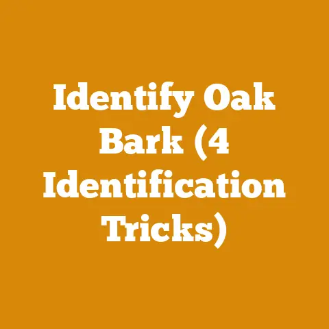Identify Oak Bark (4 Identification Tricks)
