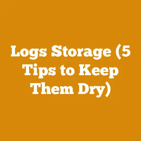 Logs Storage (5 Tips to Keep Them Dry)