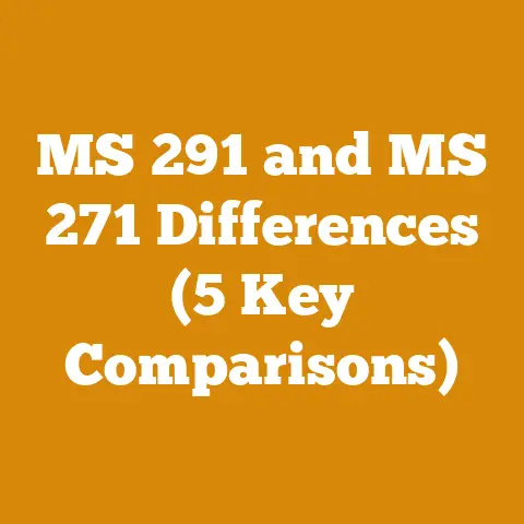 MS 291 and MS 271 Differences (5 Key Comparisons)