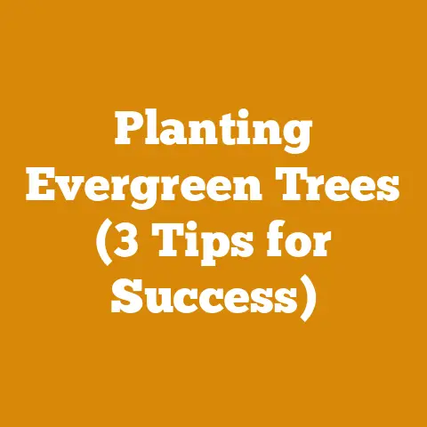 Planting Evergreen Trees (3 Tips for Success)