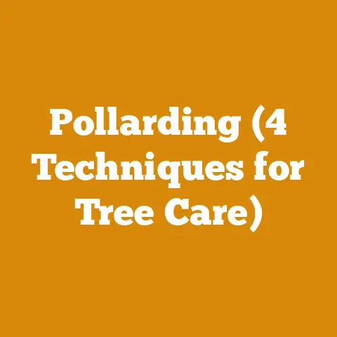 Pollarding (4 Techniques for Tree Care)