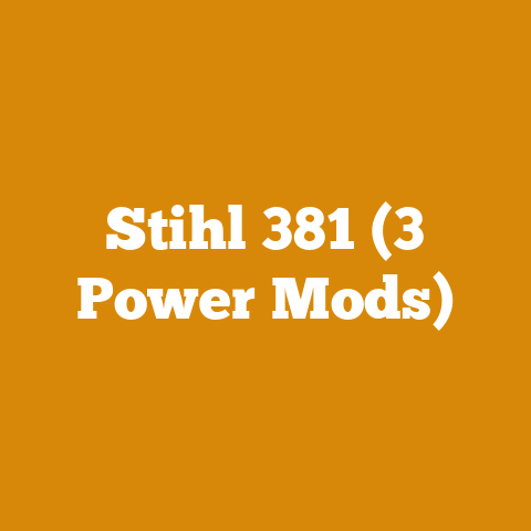 Stihl 381 (3 Power Mods)