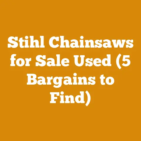 Stihl Chainsaws for Sale Used (5 Bargains to Find)