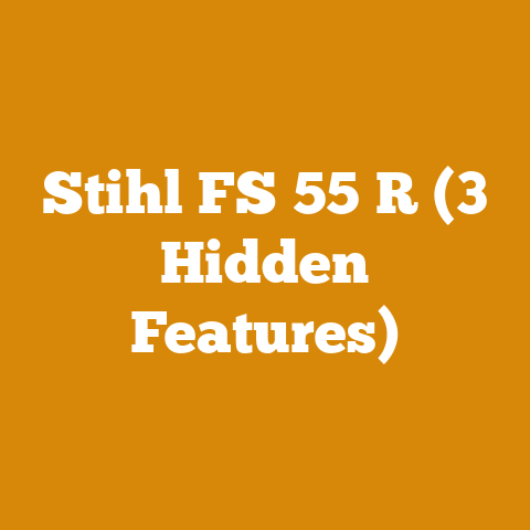 Stihl FS 55 R (3 Hidden Features)