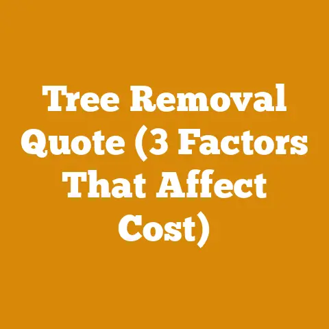 Tree Removal Quote (3 Factors That Affect Cost)