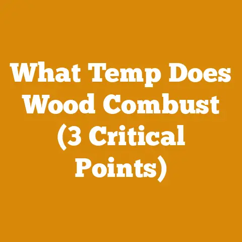 What Temp Does Wood Combust (3 Critical Points)