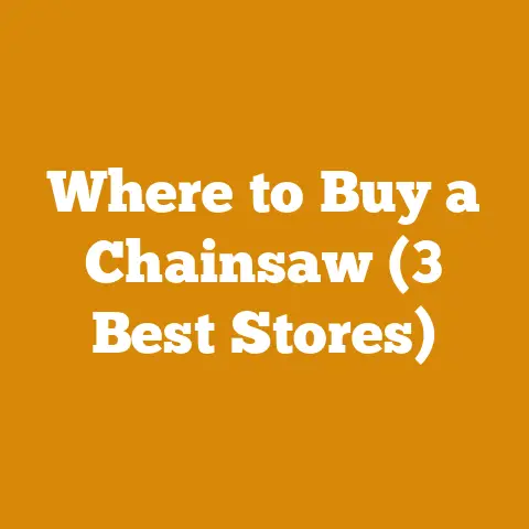 Where to Buy a Chainsaw (3 Best Stores)