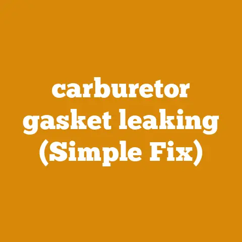 carburetor gasket leaking (Simple Fix)