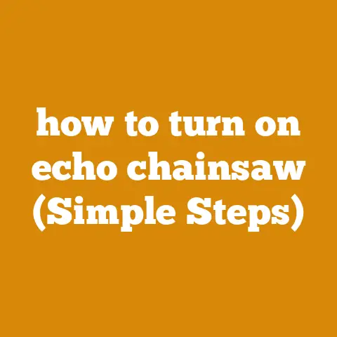 how to turn on echo chainsaw (Simple Steps)