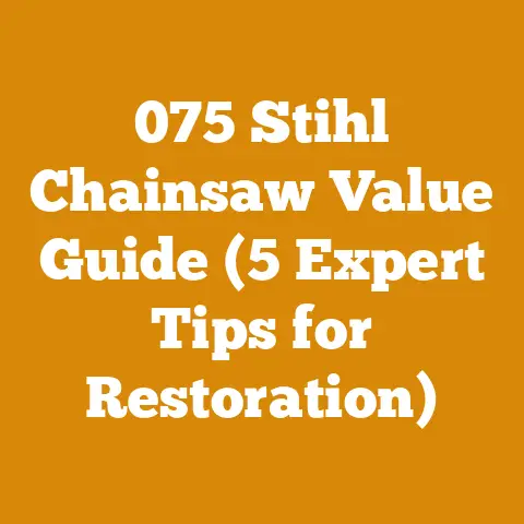 075 Stihl Chainsaw Value Guide (5 Expert Tips for Restoration)