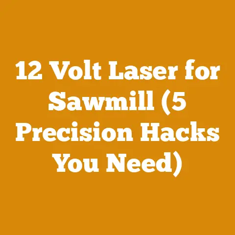 12 Volt Laser for Sawmill (5 Precision Hacks You Need)
