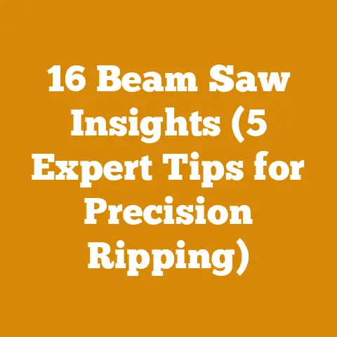 16 Beam Saw Insights (5 Expert Tips for Precision Ripping)