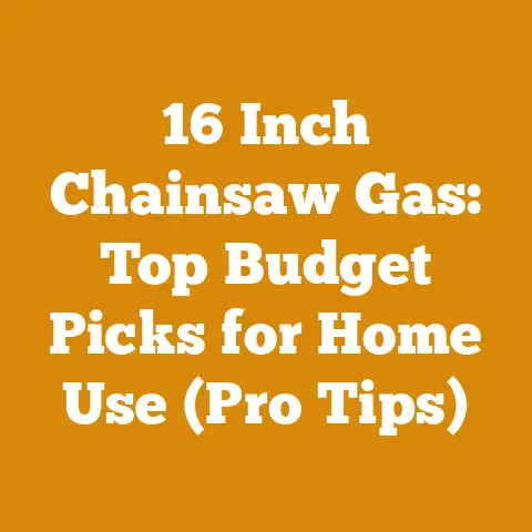 16 Inch Chainsaw Gas: Top Budget Picks for Home Use (Pro Tips)