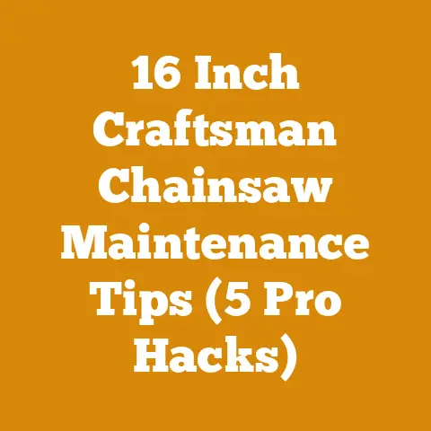 16 Inch Craftsman Chainsaw Maintenance Tips (5 Pro Hacks)