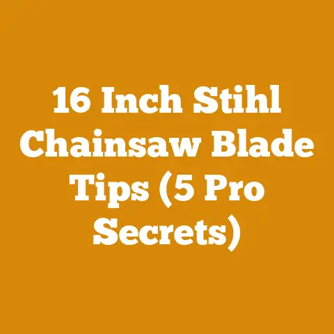 16 Inch Stihl Chainsaw Blade Tips (5 Pro Secrets)
