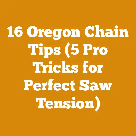 16 Oregon Chain Tips (5 Pro Tricks for Perfect Saw Tension)
