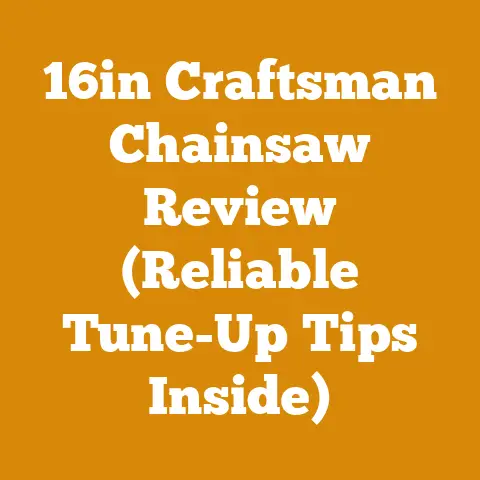 16in Craftsman Chainsaw Review (Reliable Tune-Up Tips Inside)