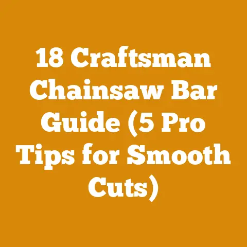 18 Craftsman Chainsaw Bar Guide (5 Pro Tips for Smooth Cuts)