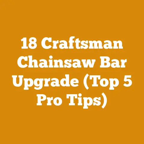 18 Craftsman Chainsaw Bar Upgrade (Top 5 Pro Tips)