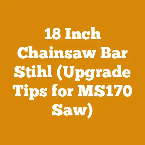 18 Inch Chainsaw Bar Stihl (Upgrade Tips for MS170 Saw)