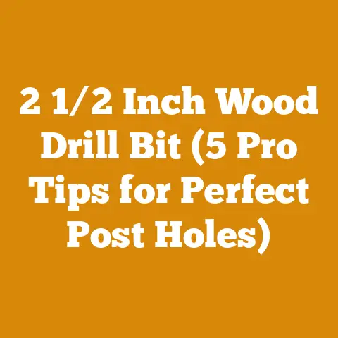 2 1/2 Inch Wood Drill Bit (5 Pro Tips for Perfect Post Holes)