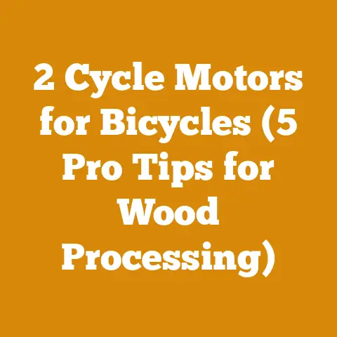 2 Cycle Motors for Bicycles (5 Pro Tips for Wood Processing)