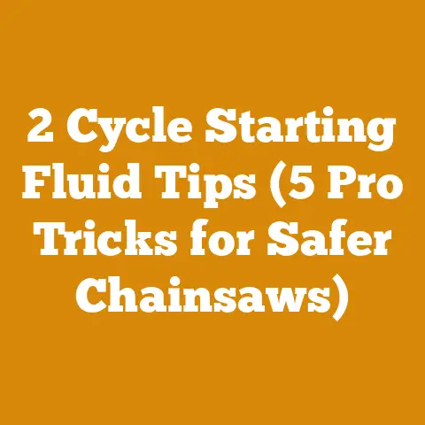 2 Cycle Starting Fluid Tips (5 Pro Tricks for Safer Chainsaws)