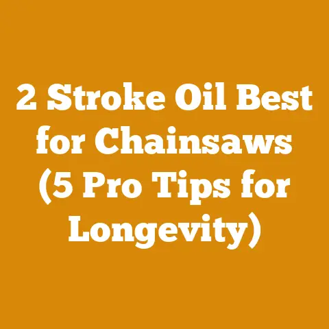 2 Stroke Oil Best for Chainsaws (5 Pro Tips for Longevity)