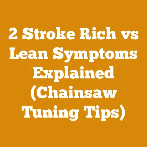 2 Stroke Rich vs Lean Symptoms Explained (Chainsaw Tuning Tips)