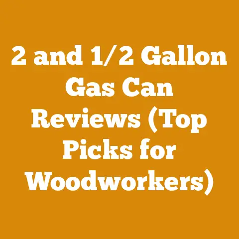 2 and 1/2 Gallon Gas Can Reviews (Top Picks for Woodworkers)