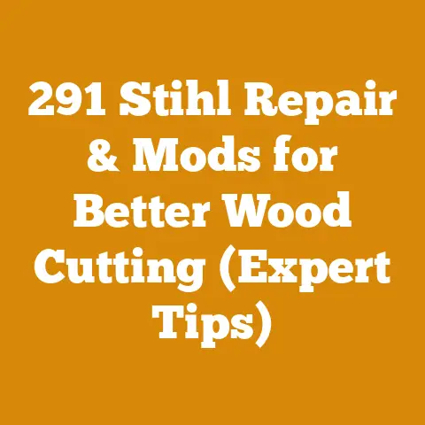 291 Stihl Repair & Mods for Better Wood Cutting (Expert Tips)