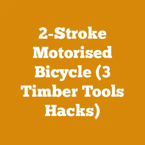 2-Stroke Motorised Bicycle (3 Timber Tools Hacks)
