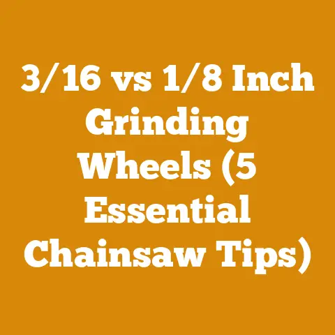 3/16 vs 1/8 Inch Grinding Wheels (5 Essential Chainsaw Tips)