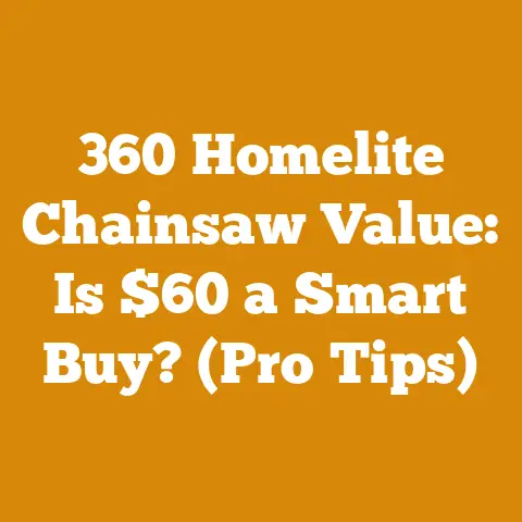 360 Homelite Chainsaw Value: Is $60 a Smart Buy? (Pro Tips)