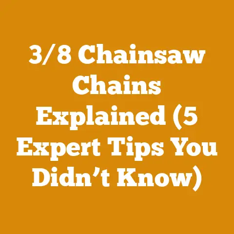 3/8 Chainsaw Chains Explained (5 Expert Tips You Didn’t Know)