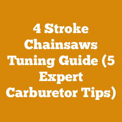 4 Stroke Chainsaws Tuning Guide (5 Expert Carburetor Tips)