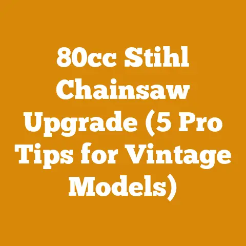 80cc Stihl Chainsaw Upgrade (5 Pro Tips for Vintage Models)