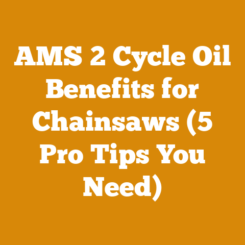 AMS 2 Cycle Oil Benefits for Chainsaws (5 Pro Tips You Need)