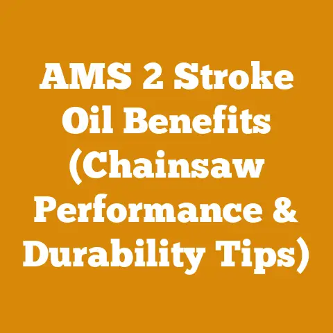 AMS 2 Stroke Oil Benefits (Chainsaw Performance & Durability Tips)