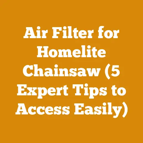 Air Filter for Homelite Chainsaw (5 Expert Tips to Access Easily)