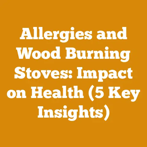 Allergies and Wood Burning Stoves: Impact on Health (5 Key Insights)