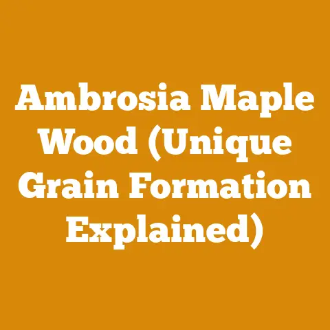 Ambrosia Maple Wood (Unique Grain Formation Explained)