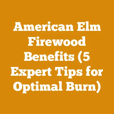 American Elm Firewood Benefits (5 Expert Tips for Optimal Burn)